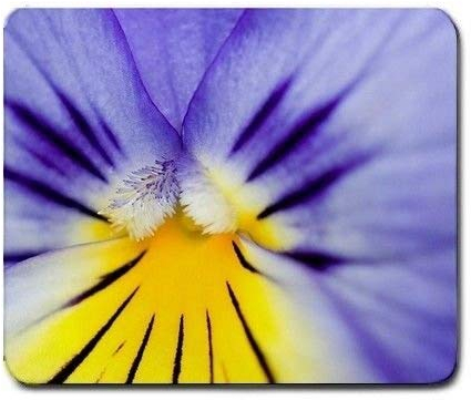 Mausunterlage-Spielmäusematten-Gelgummi für PC, schöner Orchideen-Blumen-Abschluss herauf Mausunterlage MP61