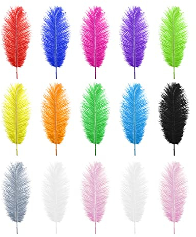 Be In Your Mind 15 stücke Natürliche Straußenfedern Gemischte Bunte Federn 25-30 cm für DIY Craft Art Design Ungiftig geruchlose Traumfänger Hochzeit Dekoration