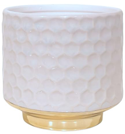 Nordring Pot de Fleur Goldy - Pots de Fleurs décoratifs Couleur pour intérieur Style rétro créatif S (10 cm ø), Blanc, Céramique