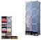 HENGMEI Kleiderschrank DIY Regalsystem Aufbewahrung Schrank, PP-Kunststoff mit Tür Garderobenschrank, Wasser und Staubdicht für Schlafzimmer Badezimmer (8 Boxen mit Tür+2 Schuhe Boxen, Schwarz)