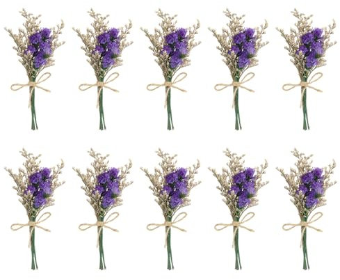 PATIKIL Mini Getrockneter Blumenstrauß, 10 Stück Vergissmeinnicht Natürliche Wildblumen mit Stiel Dekor Gipskraut Boho Blumen Pflanze Blume für Basteln DIY Foto, Lila