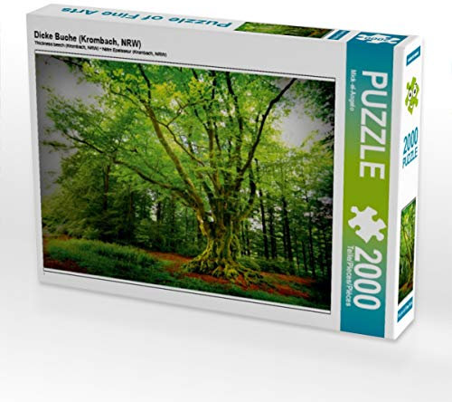 CALVENDO Puzzle Dicke Buche (Krombach, NRW) 2000 Teile Lege-Größe 90 x 67 cm Foto-Puzzle Bild von Mick-EL-Angelo