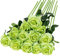 Hawesome 12PCS Künstliche Rosen Gefälschte Blumen Einzelne Lange Stielblüten mit Rosenknospen Hochzeitsdekoration Brautstrauß Dekoratives Blumenarrangement Dekoration Party Mittelstücke (Grün)