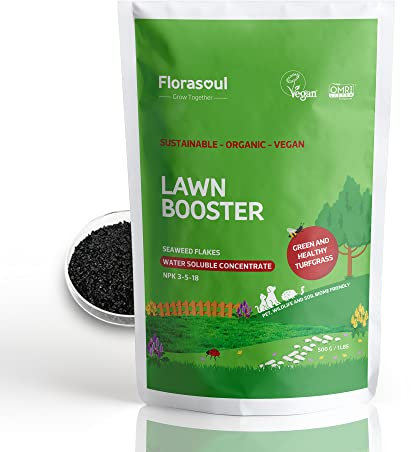 florasoul® Booster Abono Cesped Organico Vegano CESPED Verde Y Saludable Ecologico y Seguro para Mascotas 100% Solubles en Agua 500g/350l Abono Liquido Cesped/800m²