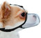 JOYPAWS Maulkorb für Hunde, atmungsaktiv, weich, für extra kleine Hunde, verhindert Bellen und Beißen, Kauen, reflektierender und verstellbarer Korbmaulkorb mit Air-Mesh für Dackel, Blau, Größe XS