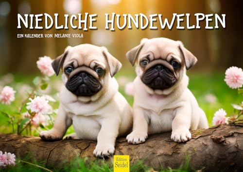 Edition Seidel Premium Kalender Niedliche Hundewelpen 2025 Format DIN A3 Wandkalender Hundekalender Hund Welpe Tierkinder Hunderasse Haustier Melanie Viola