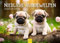 Edition Seidel Premium Kalender Niedliche Hundewelpen 2025 Format DIN A3 Wandkalender Hundekalender Hund Welpe Tierkinder Hunderasse Haustier Melanie Viola