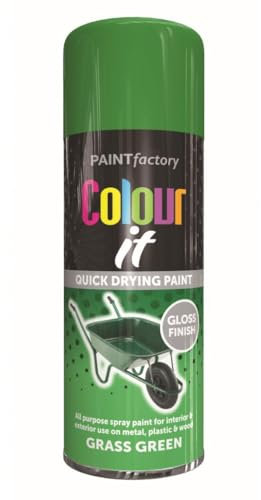 RAPIDE PF Colour It Spray Gloss Grass Green 400ML - Quick-Drying High-Performance Spray Paint | Perfect for Metal, Plastic, and Wood | Indoor & Outdoor Use