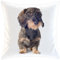 Merchandise for Fans Kissen/weiches Kuschelkissen mit Füllung 40x40cm - Motiv: Dackel/Teckel - Rauhhaardackel | 022