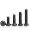 Lot de 40 vis M3 x 30 mm en acier inoxydable 304 noir Torx à tête ronde anti-vol petite vis