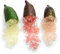 PIANTA DI LIMONE CAVIALE Citrus australasica Finger Lime foto reali (verde) vaso 18cm