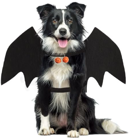 Ali Pipistrello Cane, Costume Pipistrello Cane, Vestito Pipistrello Cane, Ali da Pipistrello per Cani, Ali da Pipistrello Cane per la Decorazione Della Festa di Halloween, Costume Pipistrello Cane M