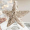 Elegante albero scintillante a forma di stella, per completare la decorazione natalizia e creare ricordi di famiglia duraturi (per champagne)