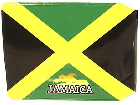 (80+ Designs) Bus Pass Wallet Credit Travel Rail Ticket Card Holder for Oyster Zip Business ID Card - Bifold - Party Bag Gift School Leaver (Jamaica Splash)