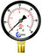CARBO Instruments Water Pressure Gauge for Swimming Pool Filter, Spa, Aquarium, Well, Air, Oil, Gas – 60psi Plumbing Clean Filter with Dual Display &1/4 NPTBrass LowerConnection