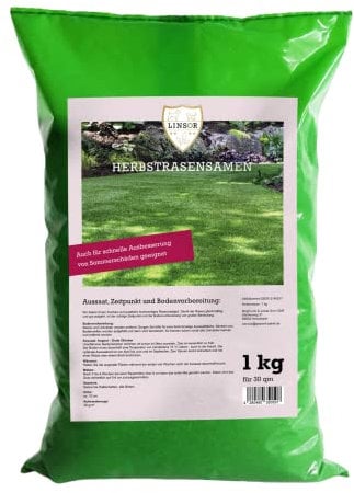 Linsor Herbstrasen, Rasensamen, auch zur Nachsaat und Reparatur, 1kg für 30m²