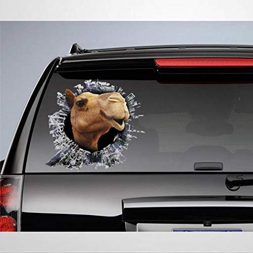 Kamel-Fenster-Aufkleber, Camel-Auto-Aufkleber, 3D-Aufkleber, lustiger Auto-Aufkleber, Vinyl, Stoßstangenaufkleber, Laptop-Aufkleber
