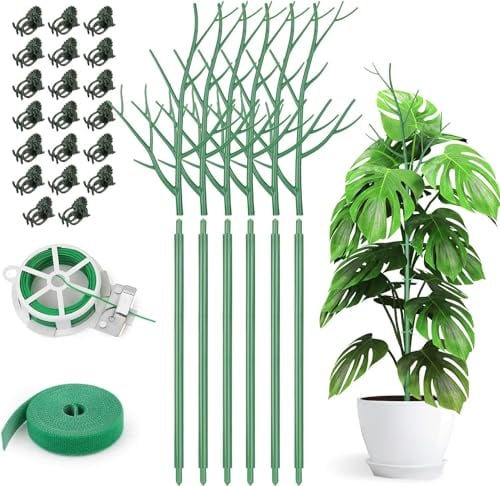 KAHEIGN 6 Pezzi Staccabili Pali di Supporto per Piante Ramoscelli, 70CM Bastoncini di Piante di Ramo Pali Rampicanti per Piante con Clip di Orchidee Cravatte a Spirale e Legami Vegetali
