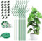 KAHEIGN 6 Pezzi Staccabili Pali di Supporto per Piante Ramoscelli, 70CM Bastoncini di Piante di Ramo Pali Rampicanti per Piante con Clip di Orchidee Cravatte a Spirale e Legami Vegetali