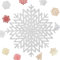 MORAINJAY 2 Pezzi Tovagliette Natale Fiocco Neve,38cm PVC Tovaglietta Argento Hollow,Fiocco Neve Tovaglietta Antiscivolo Lavabili per Natale,Matrimonio,Ristorante,Hotel Table Decorativo(B)