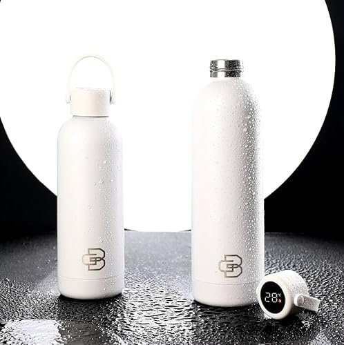 750ML Digital Thermal Flask with LED Temperature Display, Stainless Steel (White)