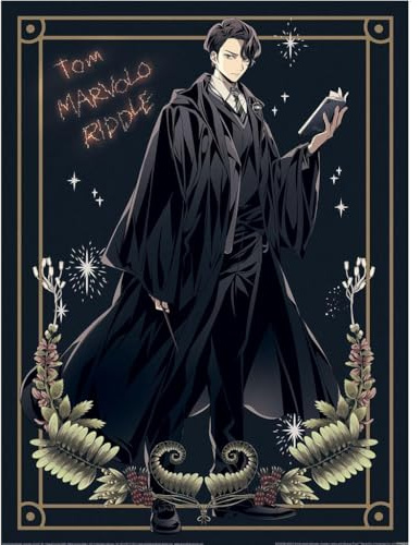 Harry Potter - bedruckt (40 cm x 30 cm) (Schwarz/Gold)