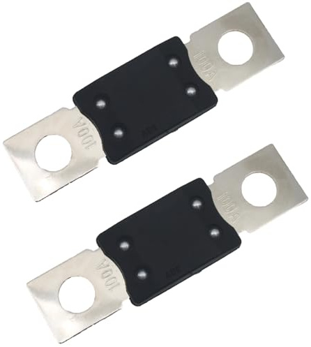 SYCZIOHU 100A High Current Bolt-On Fuses for Car, RV, Bus and Audio System (2 PCS)