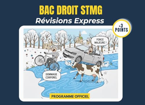 BAC STMG : Tout le programme de droit en infographies | Élève de première et terminale STMG: 100% visuel, 0% blabla, objectif Bac | Conforme au programme de l'Education Nationale