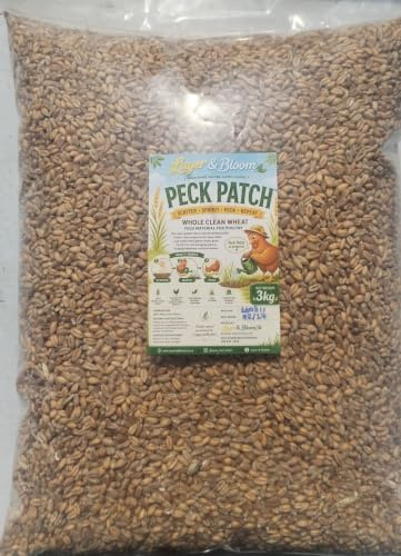 3kg Whole Clean Wheat Poultry Feed