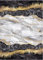 Mani TEXTILE TPS_GOLD_BLACK_80 Teppich, Polyester, Schwarz, 80 x 150