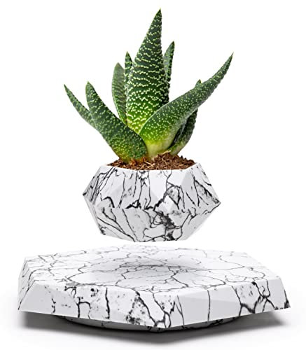 BandDlevs Schwimmende Töpfe für Pflanzen – schwebender Topf – Übertopf für Bonsai, Sukkulenten, Luftpflanzen – magnetischer Anzeigeblock für Heimbüro-Schreibtische