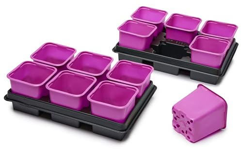 Garronda Anzuchtset Anzuchttöpfe mit Untersetzer Pflanzen im Innenbereich GD-0064 (Rosa; Quadratisch; 2 Stück, 27x18 cm)