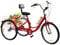 WEIGR 24 Zoll Dreirad für Erwachsene, 7 Gang Fahrrad Mit Einkaufskorb und Rückenlehne, Faltbares Outdoor-Dreirad für Senioren (Rot)