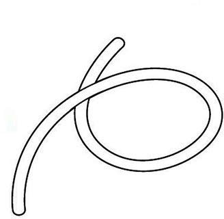 Shad Zubehör Motorrad-Topcase Ersatz-Deckeldichtung 400341/5R für SH48, Unisex, Multipurpose, Ganzjährig, Gummi