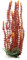 TOPINCN Aquarium Kunststoff Pflanzen Dekor Künstliche Lebensechte Grün Kunststoff Künstliche Wasserpflanze Gras für Aquarium Aquarium(Orange)