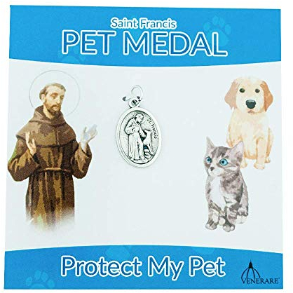 St. Francis Pet Medaille für Haustiere, oval, klein, tolles Geschenk für Haustierliebhaber, mit Karte in verschiedenen Farben Blue Card