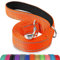 Joytale Hundeleine für Große und Mittelgroße Hunde, Doppelseitig Reflektierende Leine Hund aus Nylon mit Gepolstertem Griff, 1,8m x 2,5cm, Orange