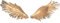 LGESR Wall Sculpture Decor Store Angel Wings Wall Art, Angel Wings Home Decoration, Wall Decor Crafts, Art Sculpture Wall Decoration, Modern Dekorative Wall Art Sculpture,Gold (Color : Gold)