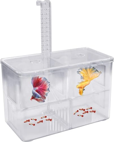 Natuce Isolationsbox Aquarium Acryl, Aquarium Zuchtbox mit Saugnäpfen, Aufzuchtbecken Aquarium Transparent, Fisch Ablaichkasten, Laichkasten für Aquarium, Fischzucht Kasten für Garnelen Jungfiisch