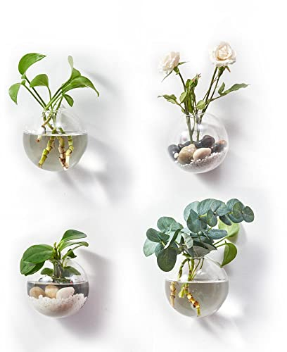 Terrario de cristal colgante (4 pulgadas con perchas)