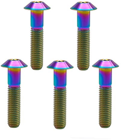 RISON Lot de 5 boulons en titane M6 x 1,0 x 40 mm à tête bombée en titane à six pans creux pour vélo et moto