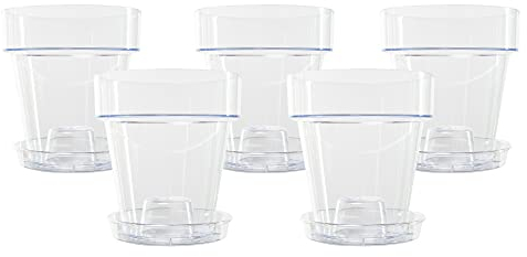 Kalapanta 5 transparente Plastiktöpfe für Orchideen mit Entwässerungslöchern und 5 Untersetzers (5, Ø 16 cm)