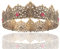 King Men Tiara Krone Imperial Mittelalter Stirnband Kristall Festzug für Hochzeit Halloween Messe Kostüm Geburtstag (Dunkelgold mit rotem Stein)