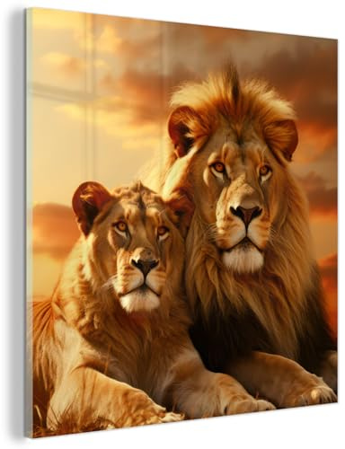 MuchoWow© Glasbilder Wohnzimmer Deko Modern Wandbild Kunstdruck auf Glas | 50x50 cm - Bild Schlafzimmer über Bett Room Decor Geschenke Löwen - Sonnenuntergang - Afrika - Savanne - Tiere
