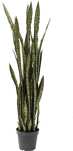 Kare Design Dekopflanze Sansewieria 155cm, Kunstpflanze, (H/B/T) 155x35x35cm