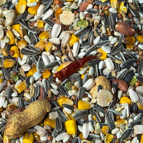 BusyBeaks African Grey Parrot Food | High Energy & Protein NO1 Mix | Nutritious Wild Garden Bird Feed | Additive Free Cleaned to 99.9% Purity | Provides Both Mental and Physical Stimulation (1kg)