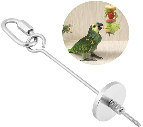 Brochette de Perroquet, Acier Inoxydable Perroquet Fruits Légumes Viande Alimentaire Porte-bâton Petit Animal Huche Cage Cage Foraging Toy Perroquets Traiter Outil [S] Gamelles