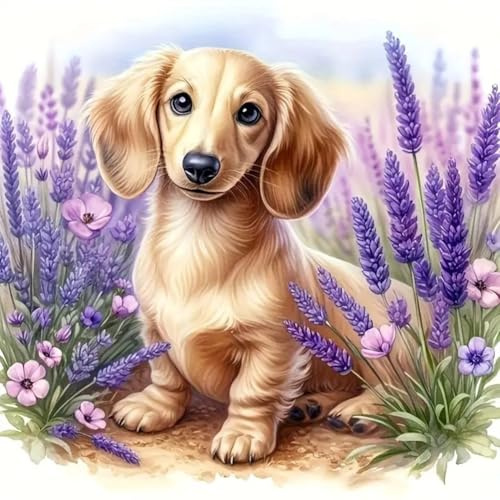 Acudotr Diamond Painting Erwachsene Set, 5D Hund Diamant Painting Kits Bilder für Erwachsene, DIY Diamant Malerei Diamond Art Kits Set für Wanddekor, 30x30cm