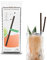 Wisefood Lot de 20 x 100 pailles comestibles - Délicieuses + 22,5 cm - Respectueux de l'environnement et biologique - Diamètre 5 mm d'épaisseur