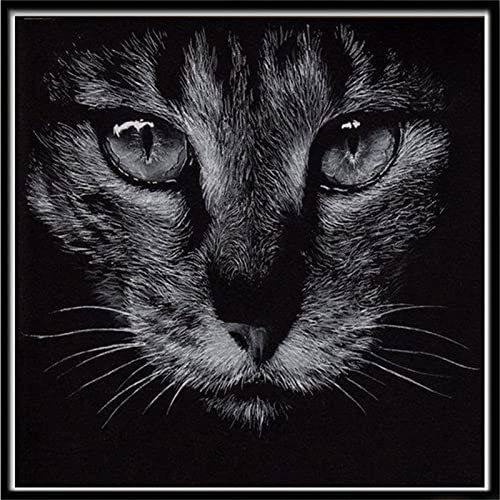 Diamond Painting Set Full, Gesicht der schwarzen Katze 40x40cm 5D Diamant Malerei Bilder, DIY Diamant Gemälde Voll Strass Stickerei Kreuzstich Kits Kunst Handwerk Leinwand Wanddekor